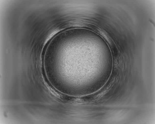 X0000096940787200802151214