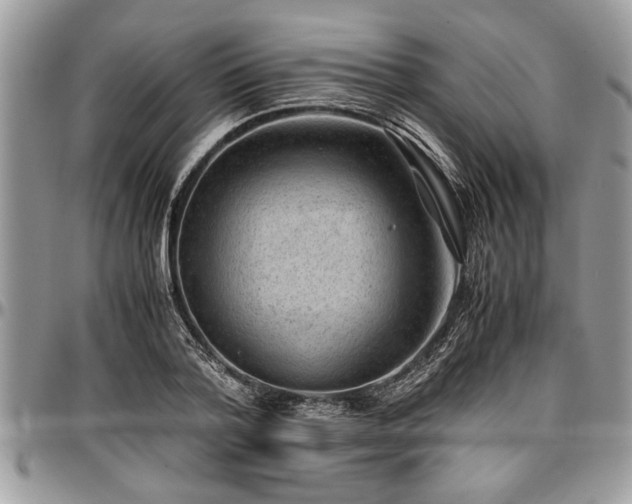 X0000096940788200802151214