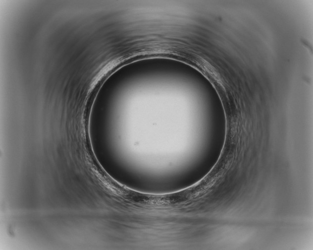 X0000096940789200802151214