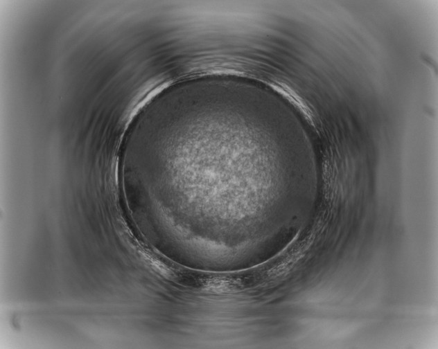 X0000096940790200802151214
