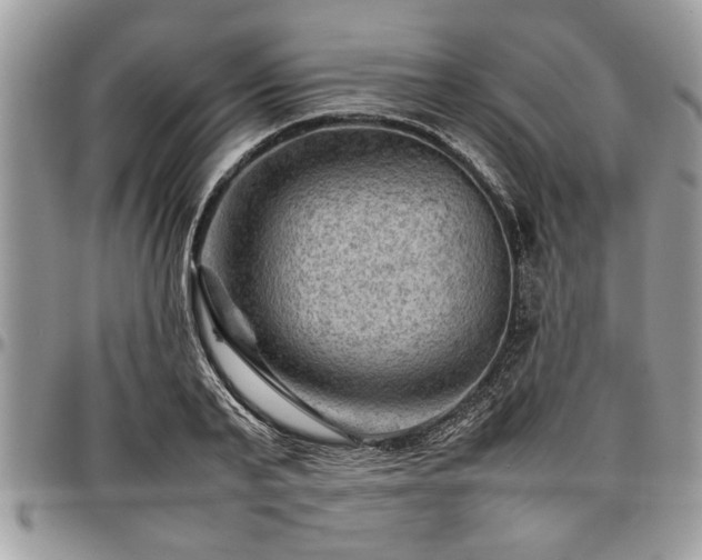 X0000096940791200802151214