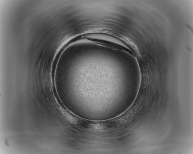 X0000096940792200802151214
