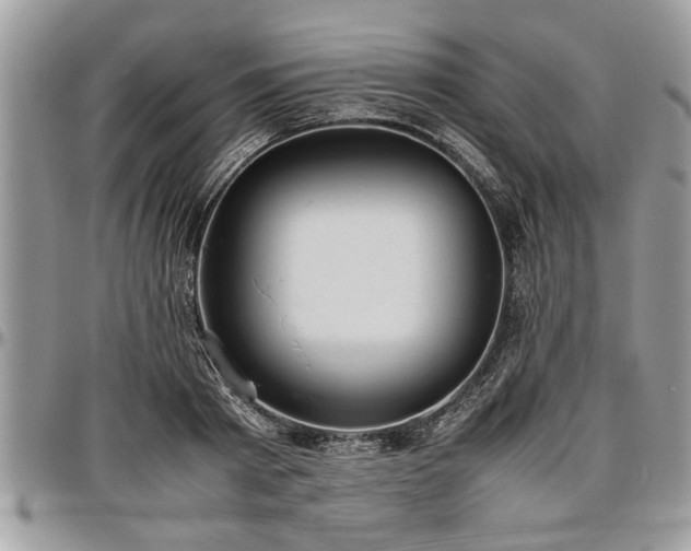 X0000096940793200802151214