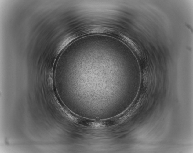 X0000096940794200802151214