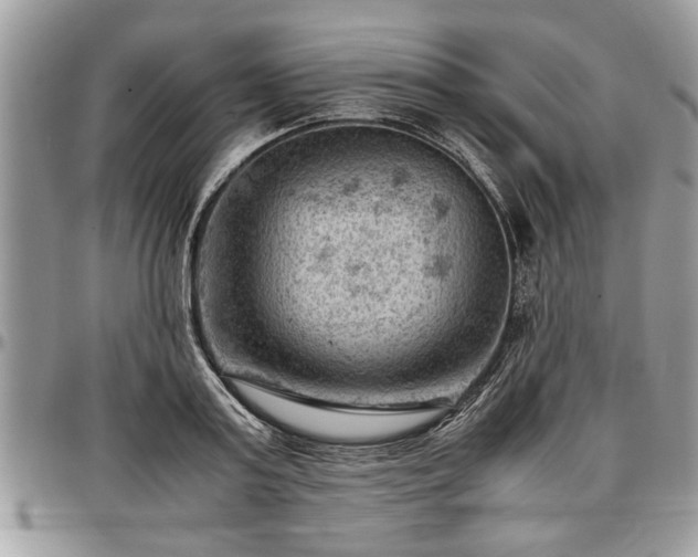 X0000096940795200802151214