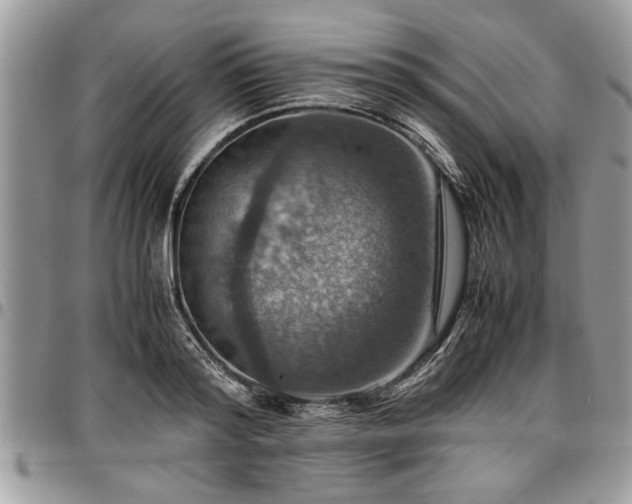 X0000096940796200802151214