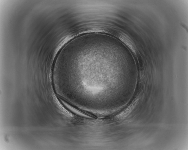 X0000096940797200802151214