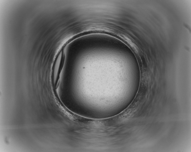 X0000096940799200802151214