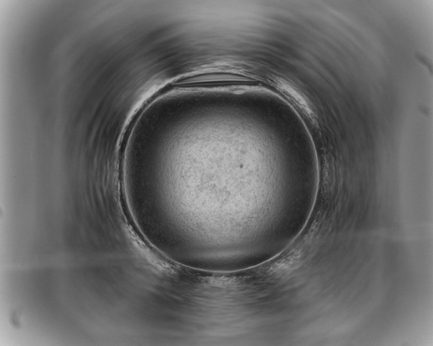 X0000096940800200802151214