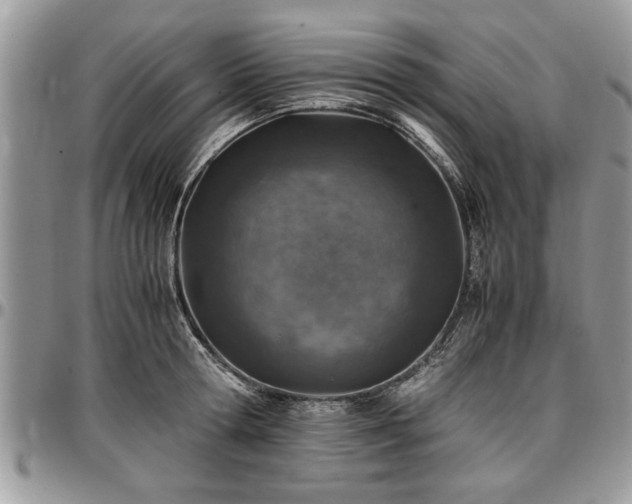 X0000096940802200802151214