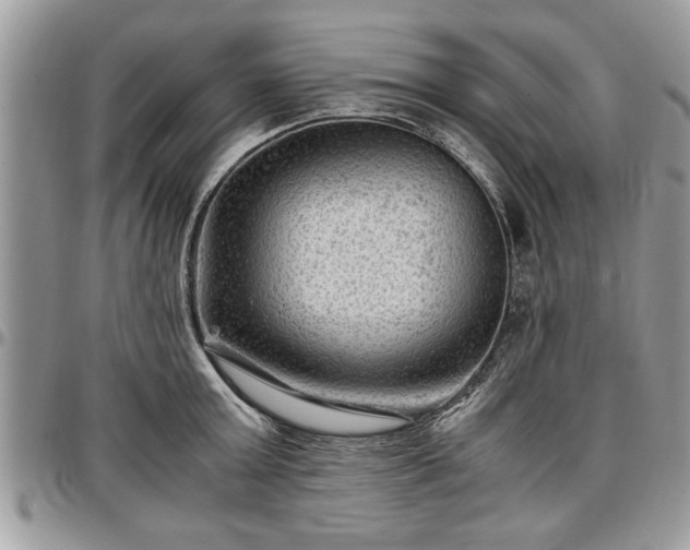 X0000096940803200802151214
