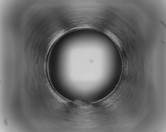 X0000096940805200802151214