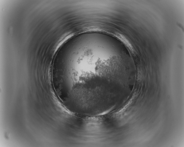 X0000096940806200802151214