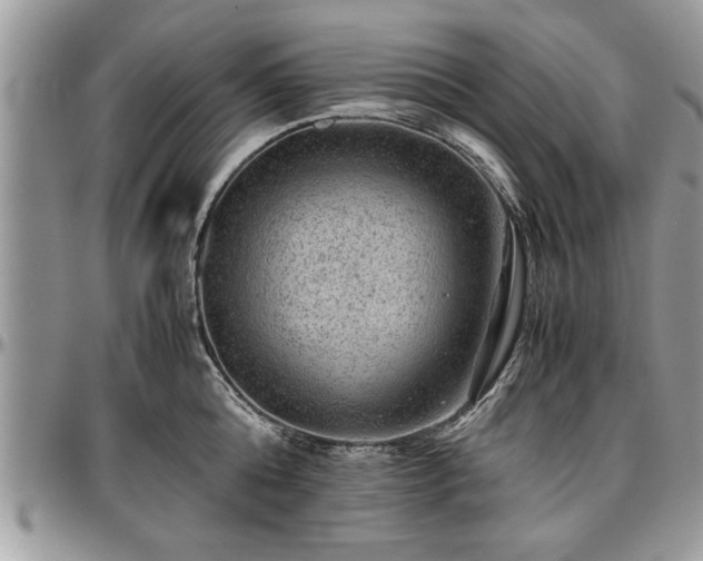 X0000096940808200802151214