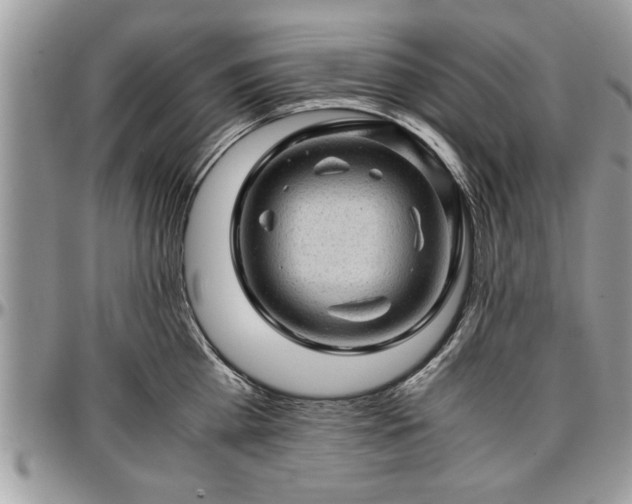 X0000096940809200802151214