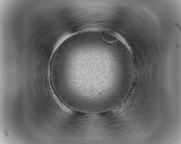 X0000096940811200802151213