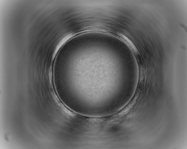 X0000096940812200802151213