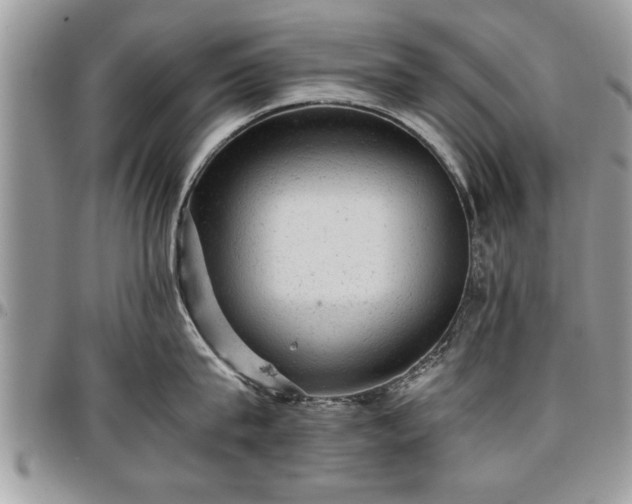 X0000096940815200802151213