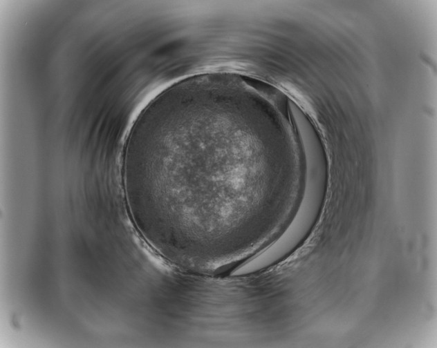 X0000096940816200802151213