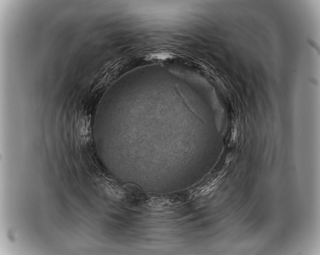 X0000096940818200802151212