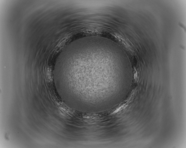 X0000096940819200802151212