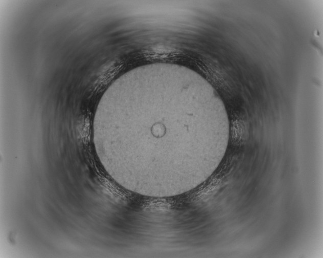 X0000096940820200802151212