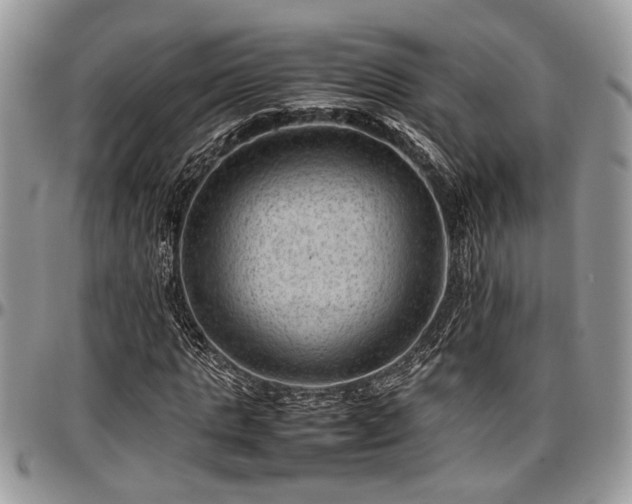 X0000096940821200802151212