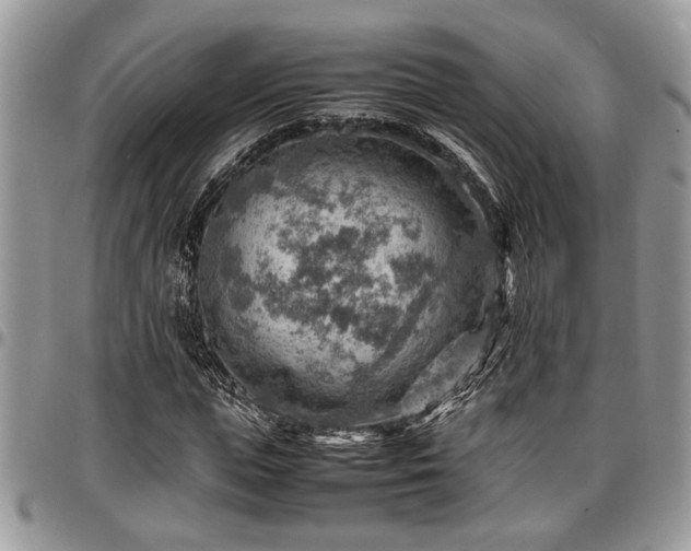 X0000096940823200802151213