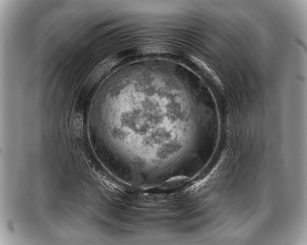 X0000096940825200802151213