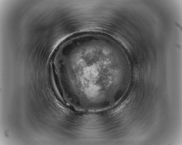 X0000096940830200802151213