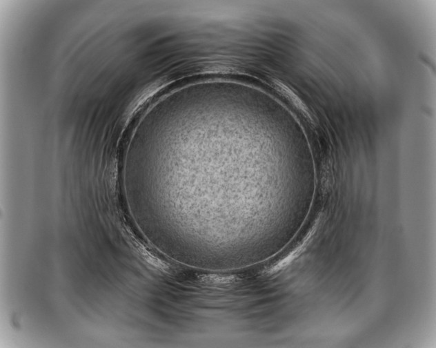 X0000096940831200802151213