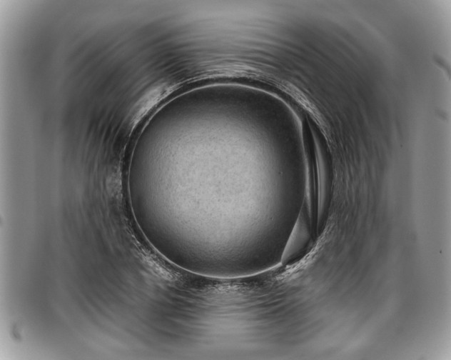 X0000096940834200802151213