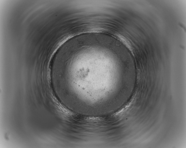 X0000096940835200802151213