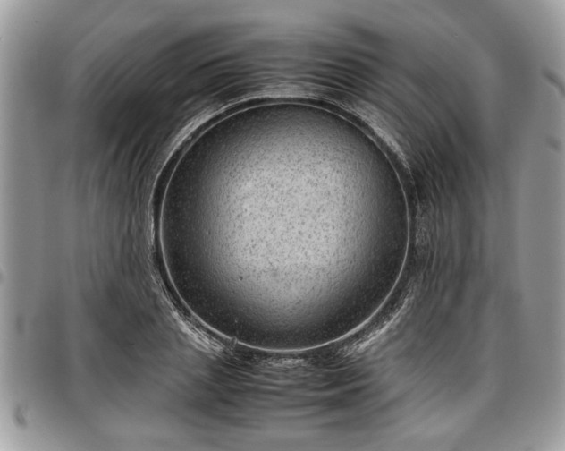 X0000096940837200802151213