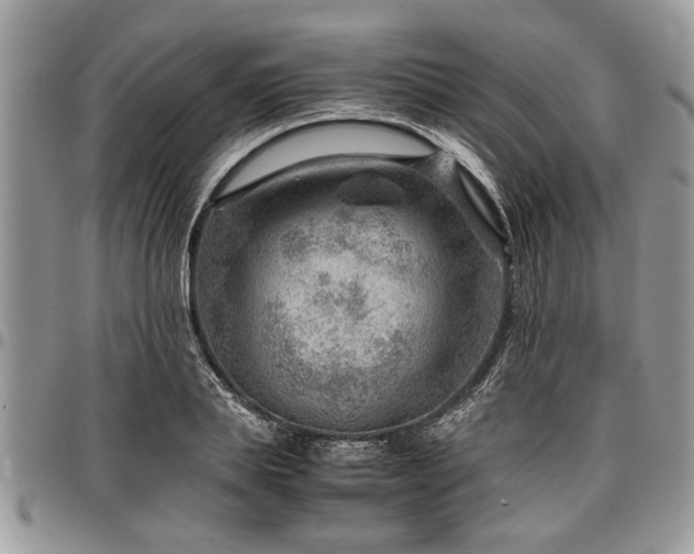 X0000096940839200802151213