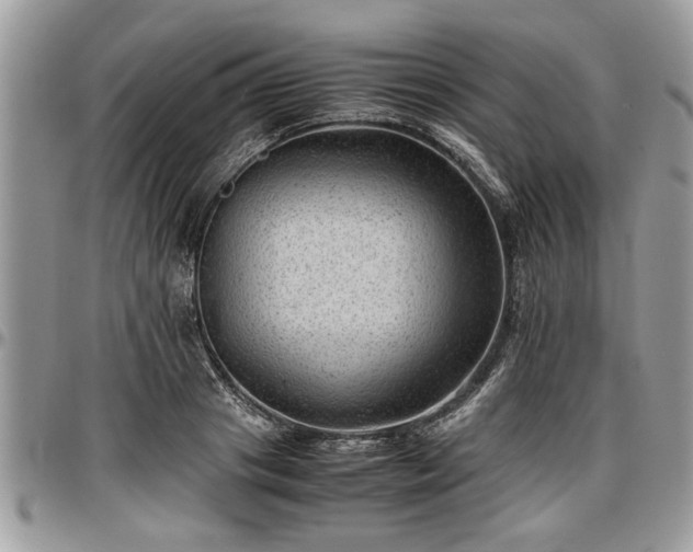 X0000096940841200802151213