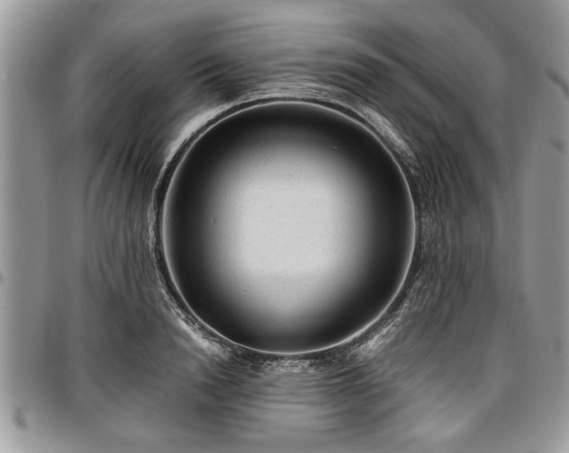 X0000096940846200802151213