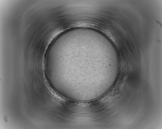 X0000096940848200802151213