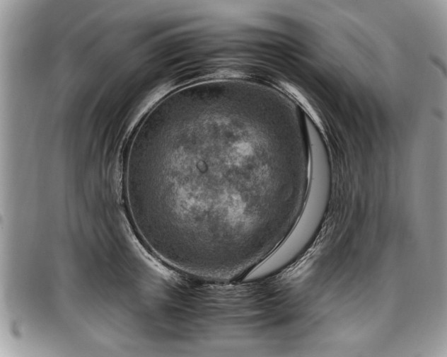 X0000096940851200802151213