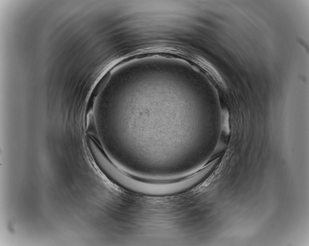 X0000096940852200802151213