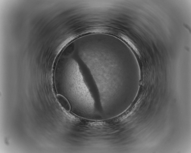 X0000096940853200802151213