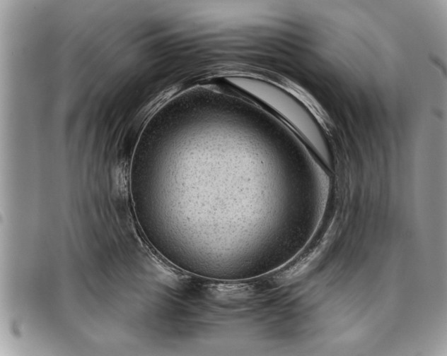X0000096940857200802151213