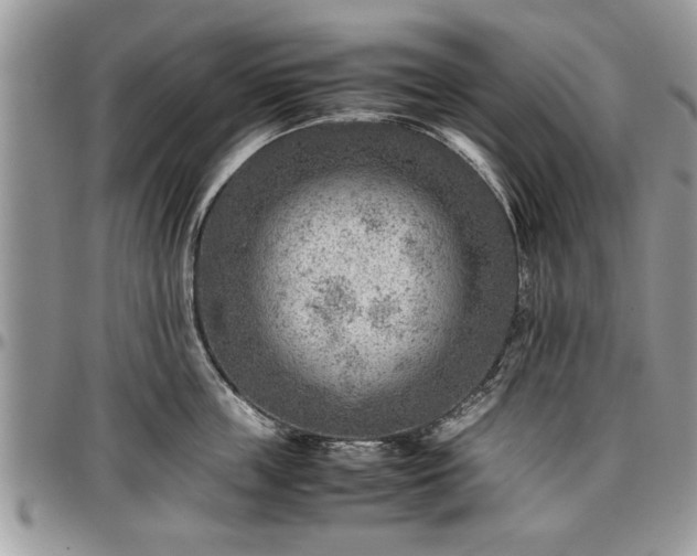 X0000096940859200802151213