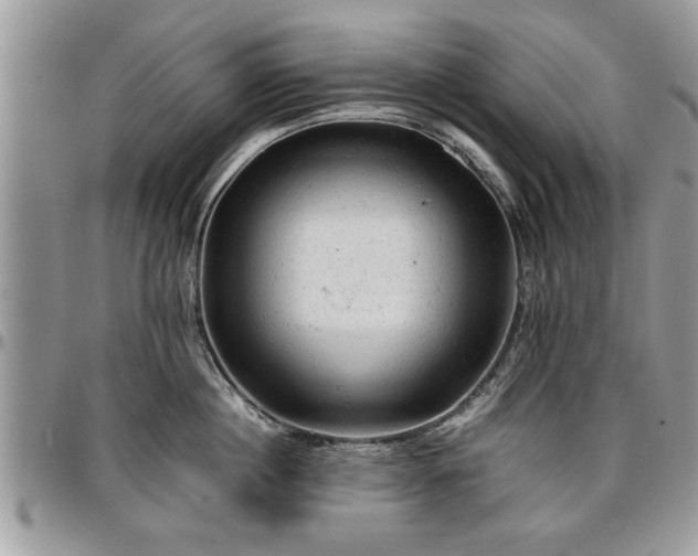 X0000096940860200802151213