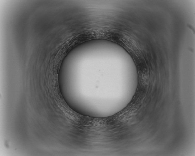 X0000096940865200802151212