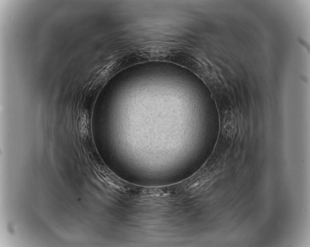X0000096940866200802151212
