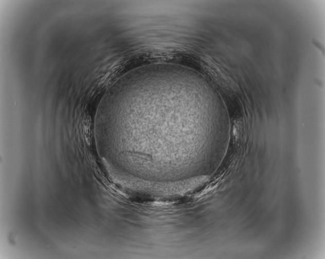 X0000096940867200802151212