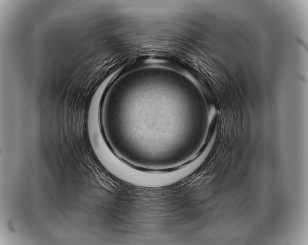 X0000096940868200802151212