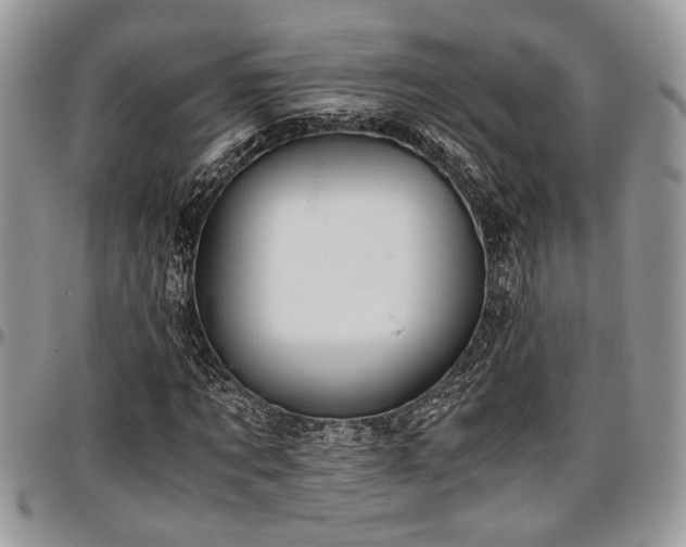 X0000096940869200802151212