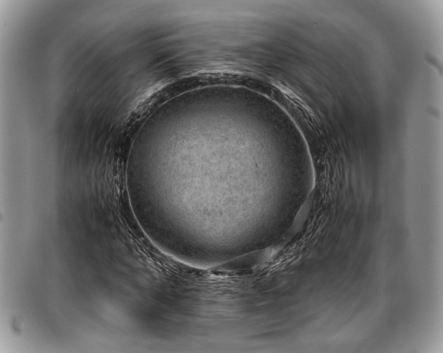 X0000096940870200802151212